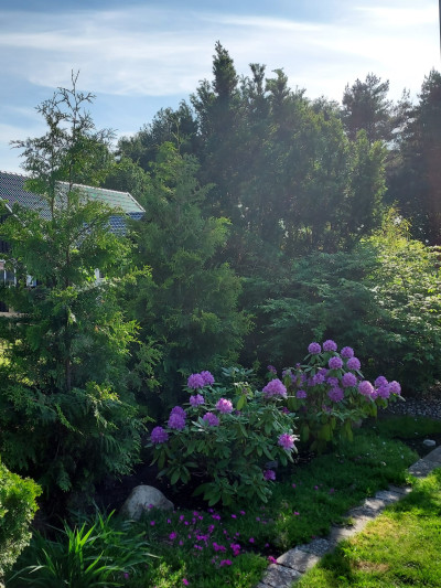 Säljarens trädgårdsbild Kustvägen 198