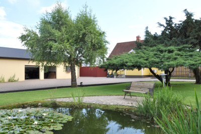 Trädgård Ebbarp 74