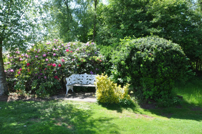 Trädgård Kärrvägen 9