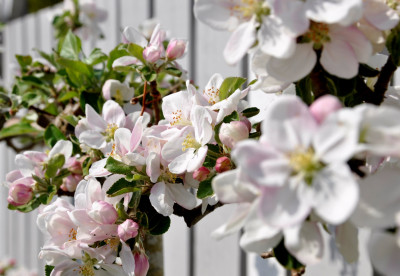 Detalj bild Rågångsvägen 23