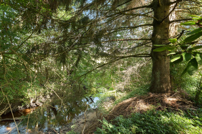 Granne med naturen Flädervägen 13