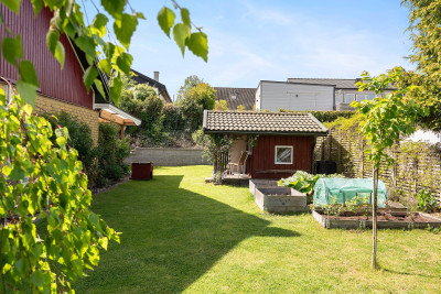 Trädgård Hallgatan 5