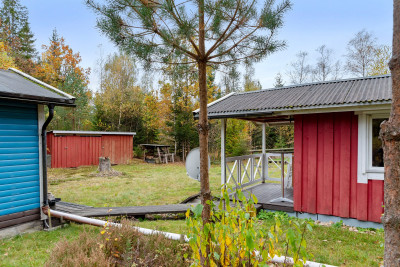 Exteriört Trälshult 13