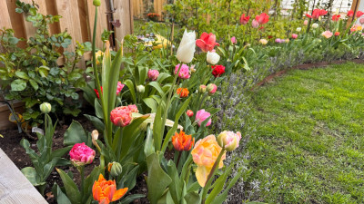 Säljarens sommarbild Iduns väg 6B