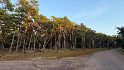 Säljarens bild Iduns väg 6B