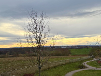  Söderläget 30A-B, 32A-B, 38A-B, 50A-B och 52A-B