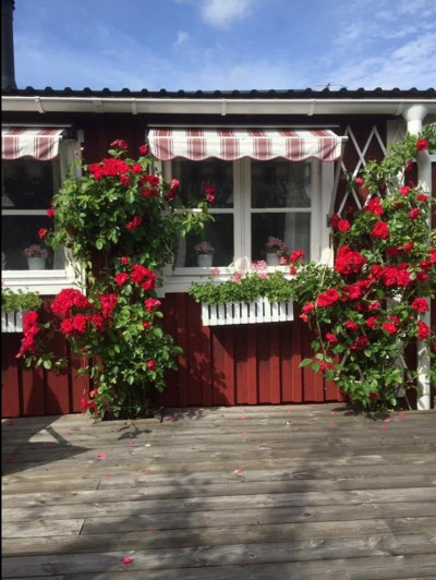 Säljarens bild Tillflyktsvägen 27B