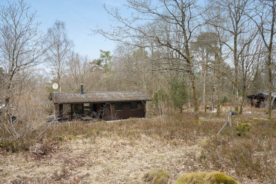  Hallandsås Börkered 314