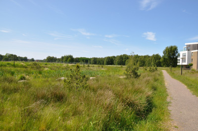 Grönområden Midgårdsvägen 25