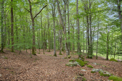  Ramsjön 111A-B