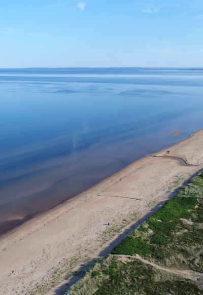Sveriges längsta sandstrand... Rådjursstigen 13