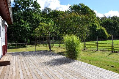 Trädgård Gosterbygget 74