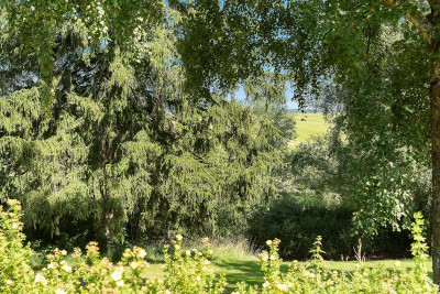 Granne med naturen Flädervägen 13