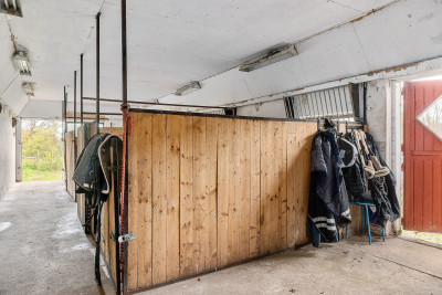 Stall Stall Edenberga 529