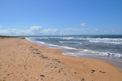 Härlig sandstrand Dynstuga 7