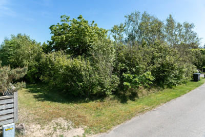 Lummig uppvuxen trädgård Rådjursstigen 6