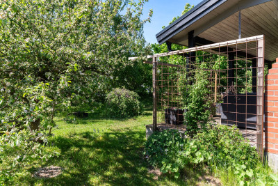 Lummig uppvuxen trädgård Rådjursstigen 6