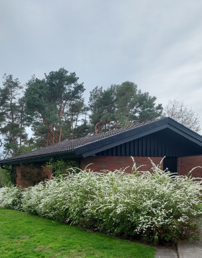 Säljarens trädgårdsbild Kustvägen 198