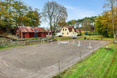 Ridbana Ridbana Edenberga 529