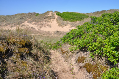 Vägen till stranden Dynstuga 7