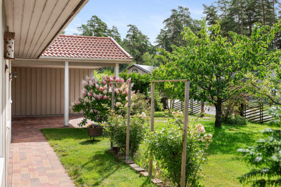 Trädgård Skogsslingan 1