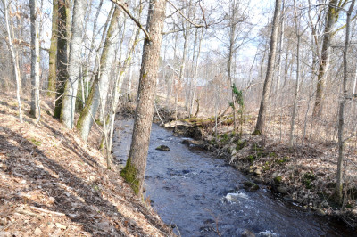 Bäck strax utanför tomten Oxelvägen 12