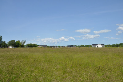  Mellby ängar etapp III