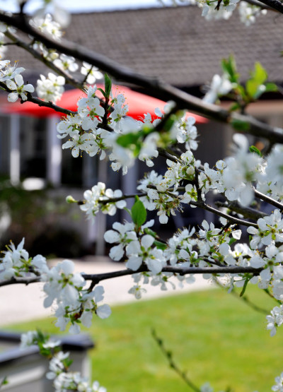 Detalj bild Rågångsvägen 23