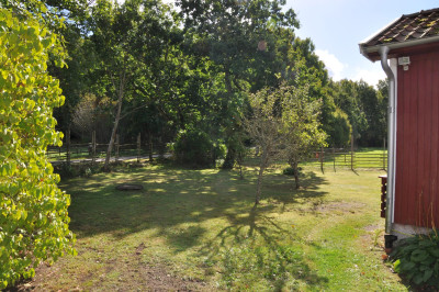 Trädgård Gosterbygget 74