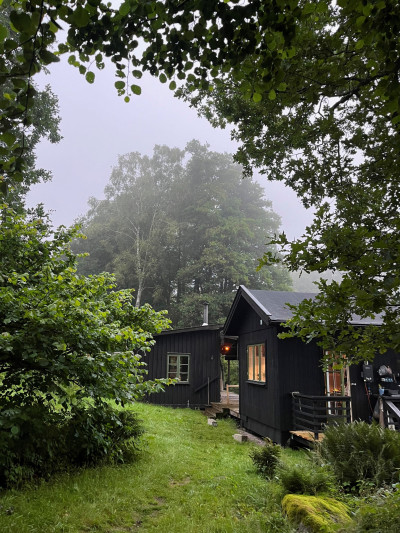 Exteriört Flintarp 181