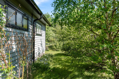 Lummig uppvuxen trädgård Rådjursstigen 6