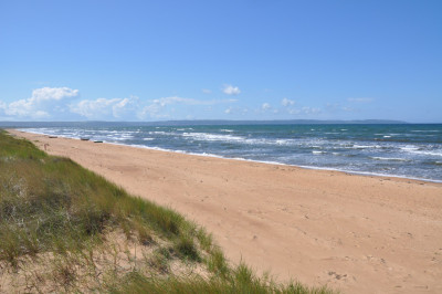 Härlig sandstrand Dynstuga 7