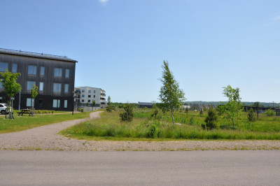  Allarp,  tomter för villor och parhus