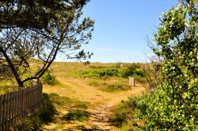 Mot strand och hav Dynstuga nr 58